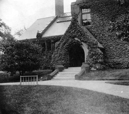 Ivy covered building