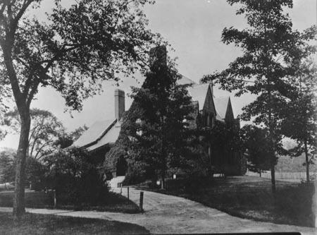 The New Library